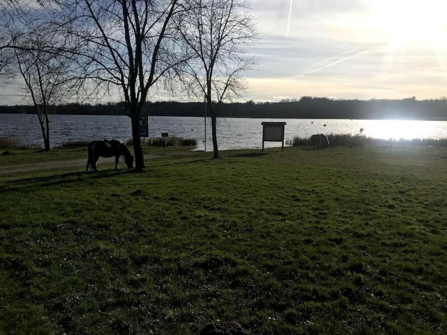 Gite A La Campagne Au Bord D'Un Lac 8 Personnes Saint-Quentin-sur-Charente Екстер'єр фото